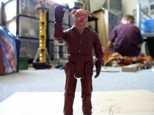 Pig Guard